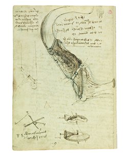 Codex on the Flight of Birds, Folio 18 Verso by Leonardo da Vinci
